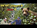 Podcast । जब बचे Leopard के Jaws से । Jungle Experiences Of Youtuber DEFAULT Thumbnail