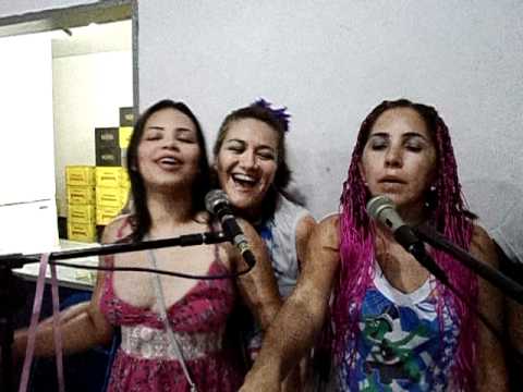 BICHO GRILO CHAPADINHA MA