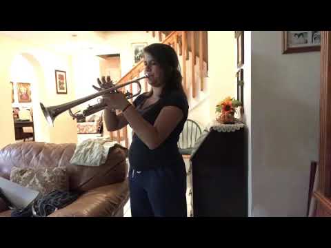 Promotional video thumbnail 3 for Sofia Da Silva