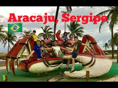 test karcsú aracaju zsírégető bd