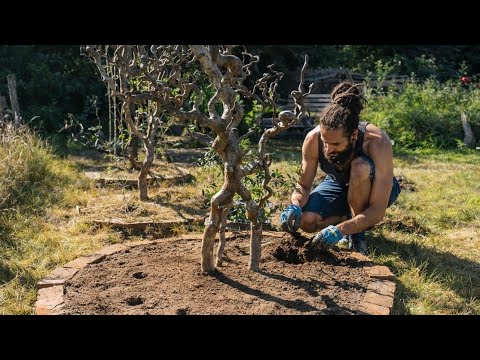 Permakultur 2018: Schöpferkraft Classics 31-40 im Rückblick