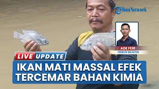 Diduga Tercemar Gudang Insektisida yang Terbakar, Ikan di Sungai Jalatreng Mendadak Mati Massal