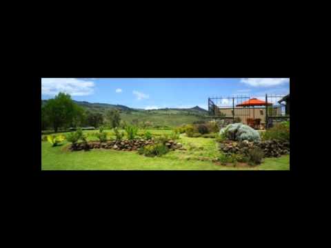 Davido - Fans Mi ft. Meek Mill