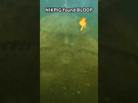 real BLOOP ! NIKPIG found the Bloop!