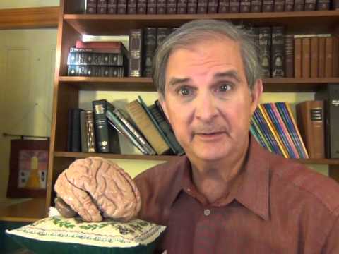 How the Brain Works: Sleep Disorders (Recurring Nightmares), Video 6 of 20