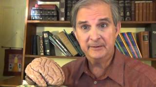 How the Brain Works: Sleep Disorders (Recurring Nightmares), Video 6 of 20