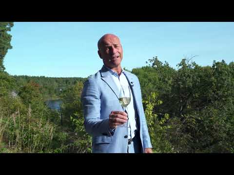 Richard Juhlin Champagne Tasting notes 2