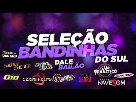 SELEÇÃO DE BANDINHAS DO SUL 2025 - DALE BAILÃO