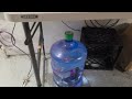 Restaurant Has Severe Drain Fly & Mouse Problem in Manville, NJ