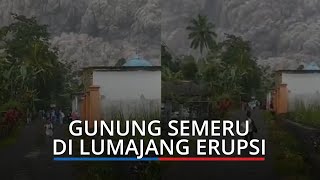 Gunung Semeru Erupsi, Kawasan Lereng Gunung Terkena Hujan Abu, Warga di Sekitar Panik