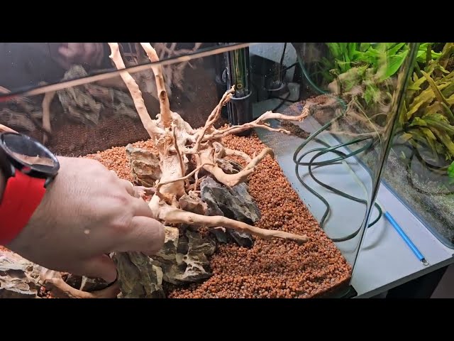 Vídeo relacionado con Blau Aquaristic Cubic Panoramic 45X28X30 Cm 38 litros 8500 g