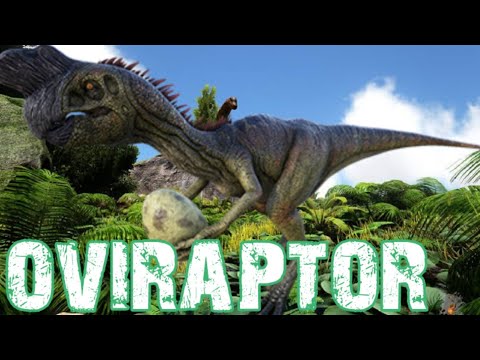 COMO TAMEAR UN OVIRAPTOR DE FORMA FACIL / VAGA
