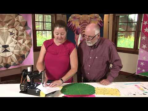 The Quilt Show: Trailer 2608 - Violet Craft / Kathy Deggendorfer