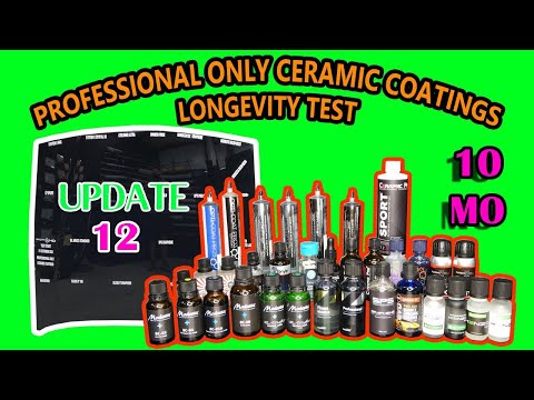PROFESSIONAL ONLY ceramic coatings - 22 WAY LONGEVITY TEST - UPDATE 12 - 10 MONTHS