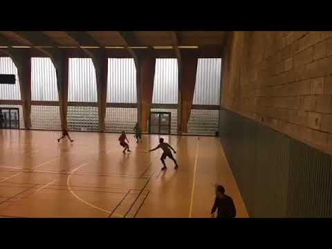 D3 indoor 2016/2017 - Frog - Friselis