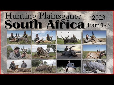 Hunting 12 species - South Africa 2023