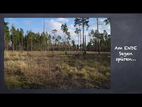 Segen08 - Passionsgang im Moor