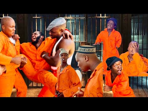 Ejele 5 in 1 Compilation