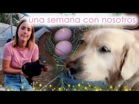 Todavía no tenemos ni sofá, pero ya hacemos vida en casa 😂