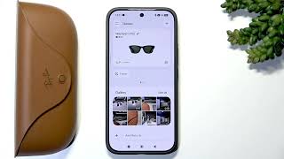 META Ray-Ban Wayfarer – How to Use Live Translation with Meta AI