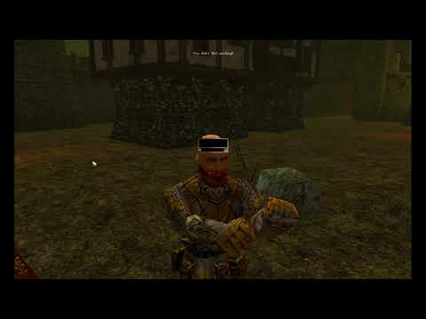 Playing Neverwinter Nights EE: Zombie Survival