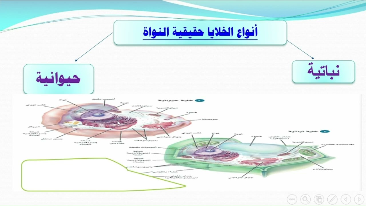 الخلية الجزء الاول