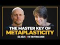 Rethinking Psychedelics Octopuses On MDMA And The Master Key Of Metaplasticity Dr Gül Dölen