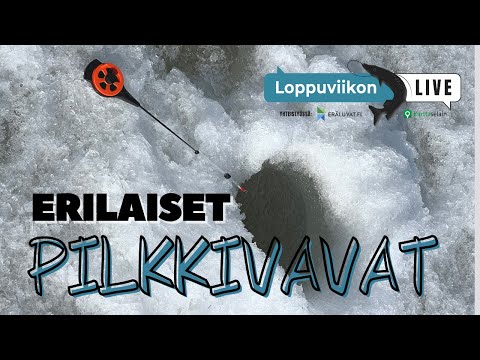 ERILAISET PILKKIVAVAT, niiden ominaisuudet ja käyttö | Loppuviikon LivE