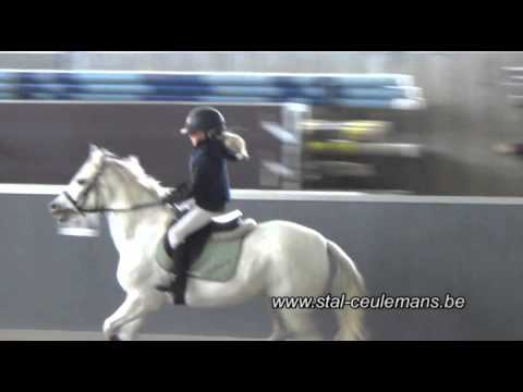 Flore, Catherine Spits, LRV Kontich 80cm, 25-10-2015