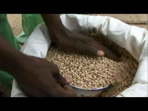 UN promotes family-run farms on World Food Day