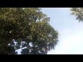 Indian Hot Xxx Video