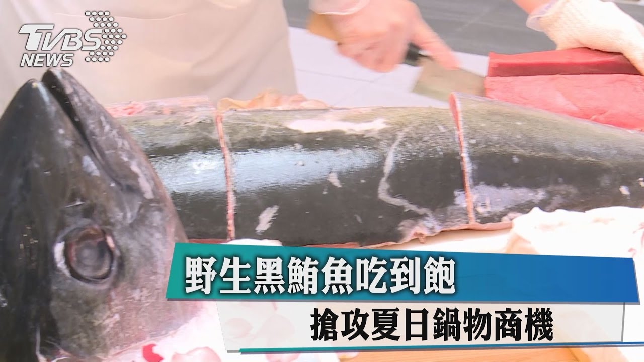 野生黑鮪魚吃到飽 搶攻夏日鍋物商機