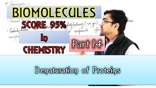 Biomolecules || Denaturation Of Proteins || Part 14 - by Mrityunjay Sir