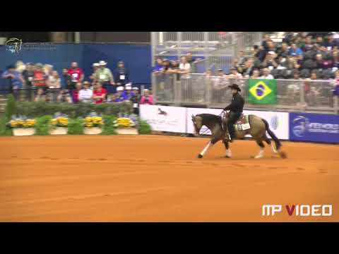 Gunner Dun It again WEG 2018 score 227