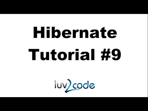 Hibernate Tutorial 9 Dev Process