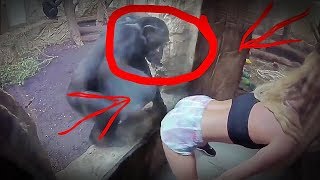 Я РЖАЛ ПОЛЧАСА / ПОПРОБУЙ НЕ ЗАСМЕЯТЬСЯ / САМОЕ СМЕШНОЕ ВИДЕО В МИРЕ#1