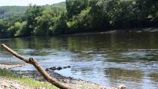 Here In This Holy Place