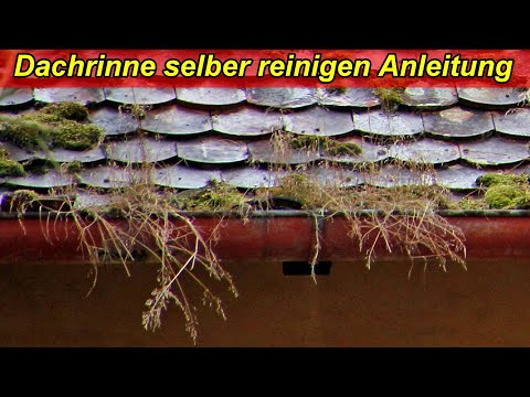 Dachrinne selber reinigen Anleitung - Darinne sauber machen & sauber halten - Rine am Dach säubern
