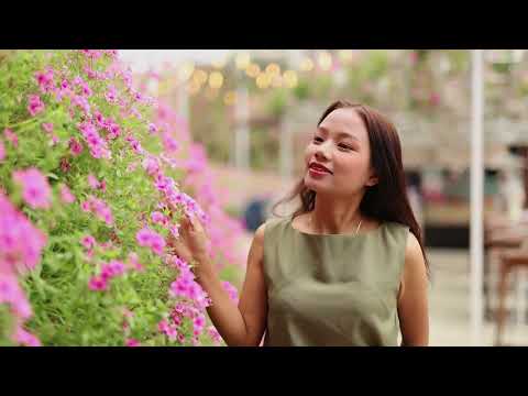 An Dawt Peng Ko // Sui Hlawn Rem // 2025 Hlathar Official MTV.