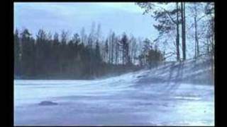 CMX - Siivekäs