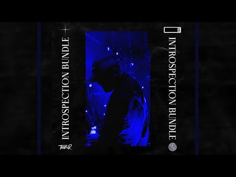 [30+] FREE DRAKE LOOP KIT / SAMPLE PACK - INTROSPECTION BUNDLE (DRAKE, OVO, R&B, TRAPSOUL)