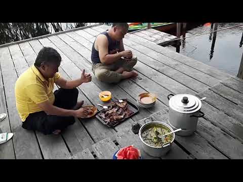 Sebangau National Park. Fishing time