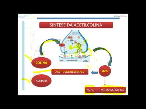 COLINÉRGICOS PARTE 1