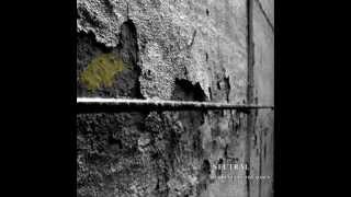 Neutral - The Gift Of The Sea