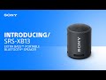 Акустика портативна Sony SRS-XB13 Deep Blue 4