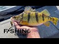 Video Thumbnail for Pike almost disables boat!!!!  Jumbo Perch Fishing with Swimbaits!!!