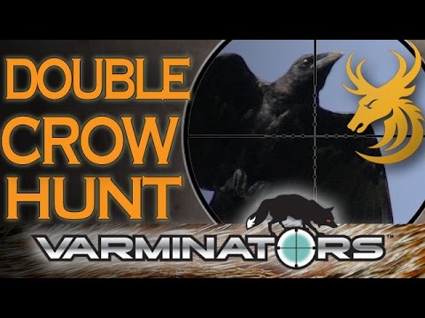 Shooting Crows - Hunting with an Armsan Shotgun!