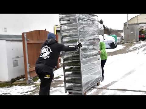 č.7. Květinová miminka