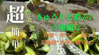 【きゅうりと遊ぶ☆後編】#きゅうり #きゅうりレシピ #簡単レシピ #山形県 #それいゆの畑
