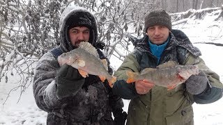 Рыбалка в барнауле на оби